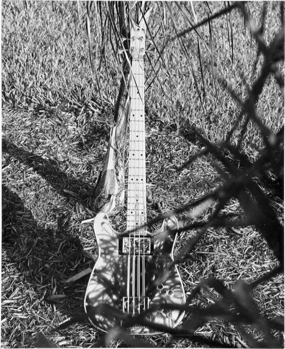 velbas.jpg (160876 bytes)